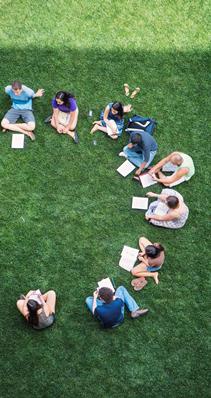 Students sitting in the grass
